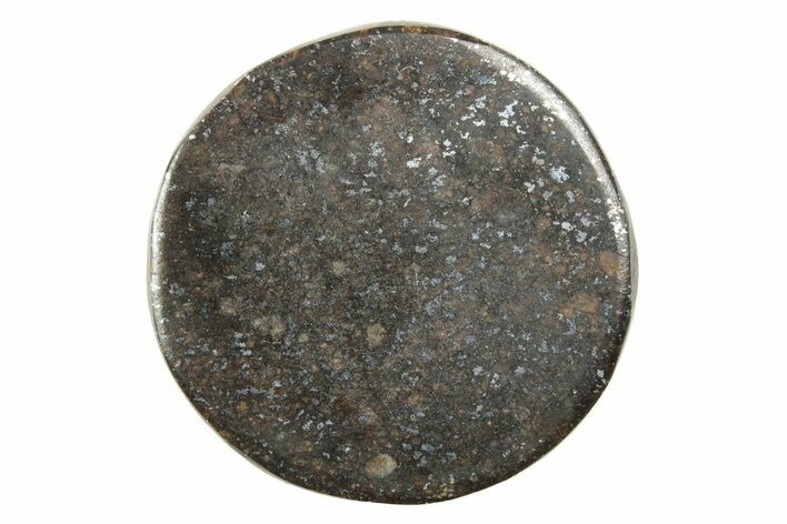 Stony Chondrite Cabochon ( g) - Meteorite #238211